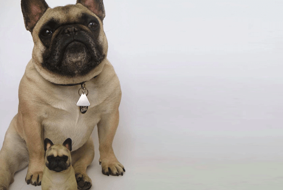 French Bulldog with their own 3D printed sculpture